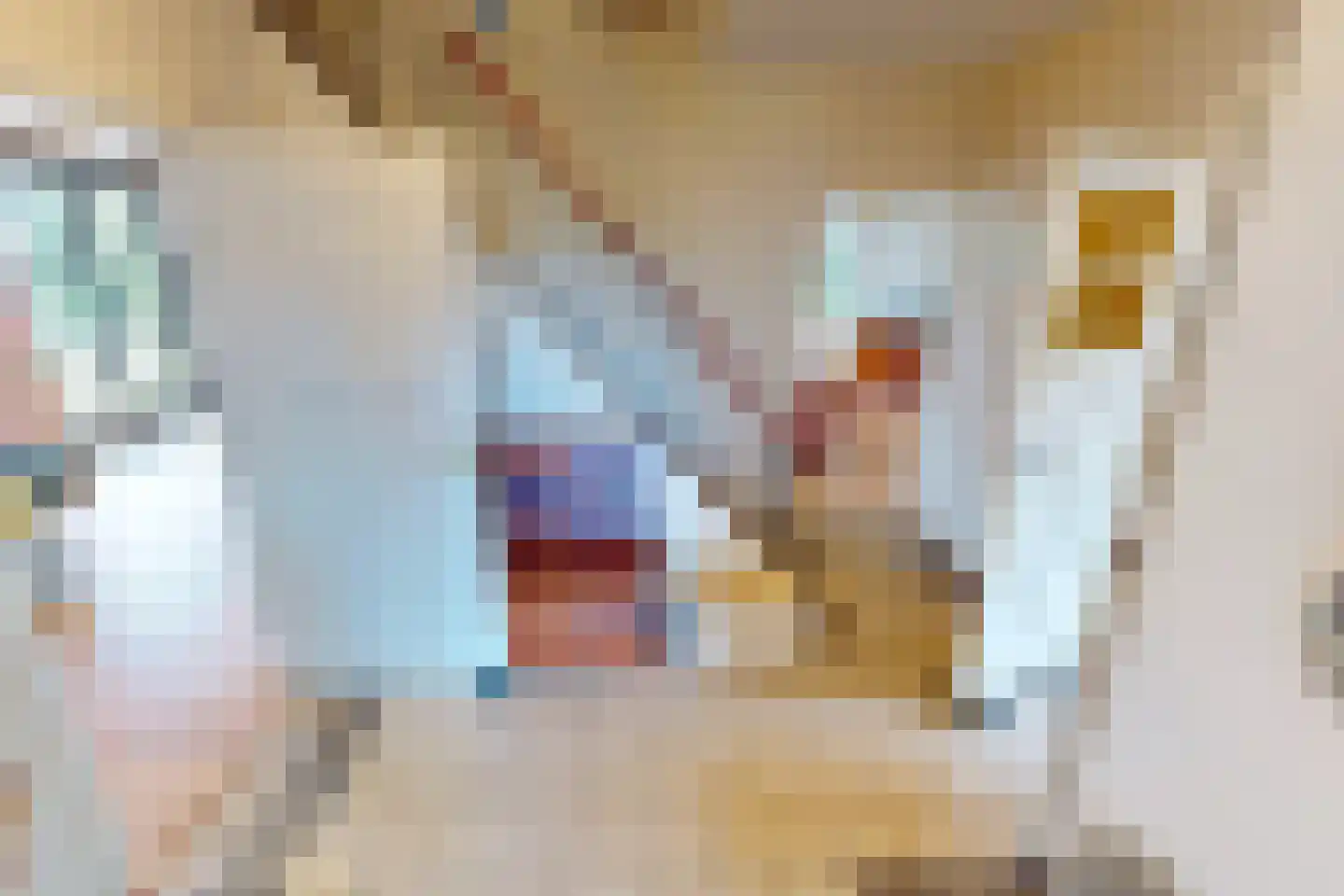Middenweg 14 Andijk thumbnail 14
