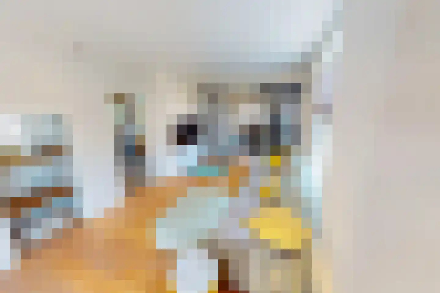 Middenweg 14 Andijk thumbnail 28