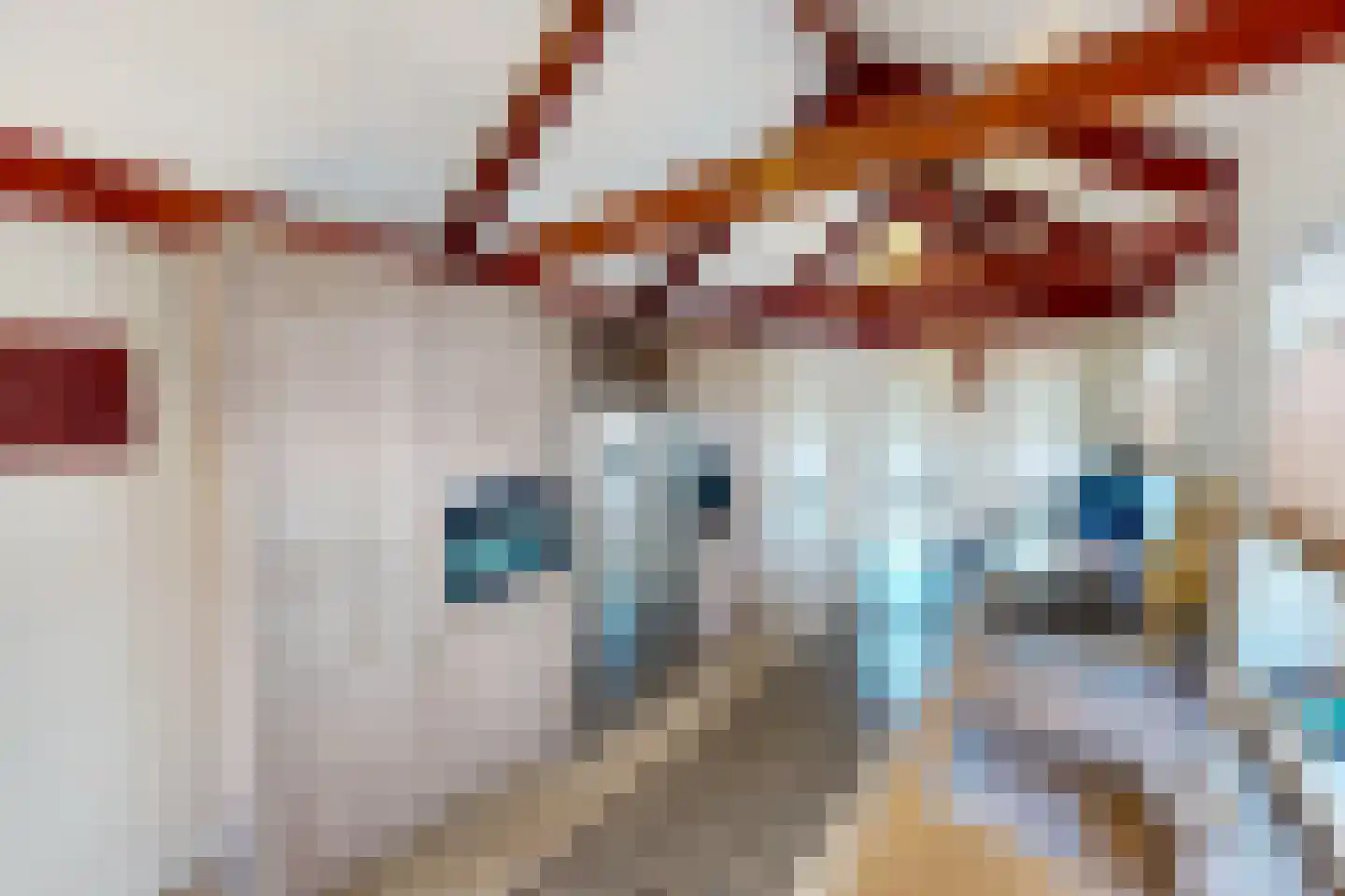 Middenweg 14 Andijk thumbnail 38