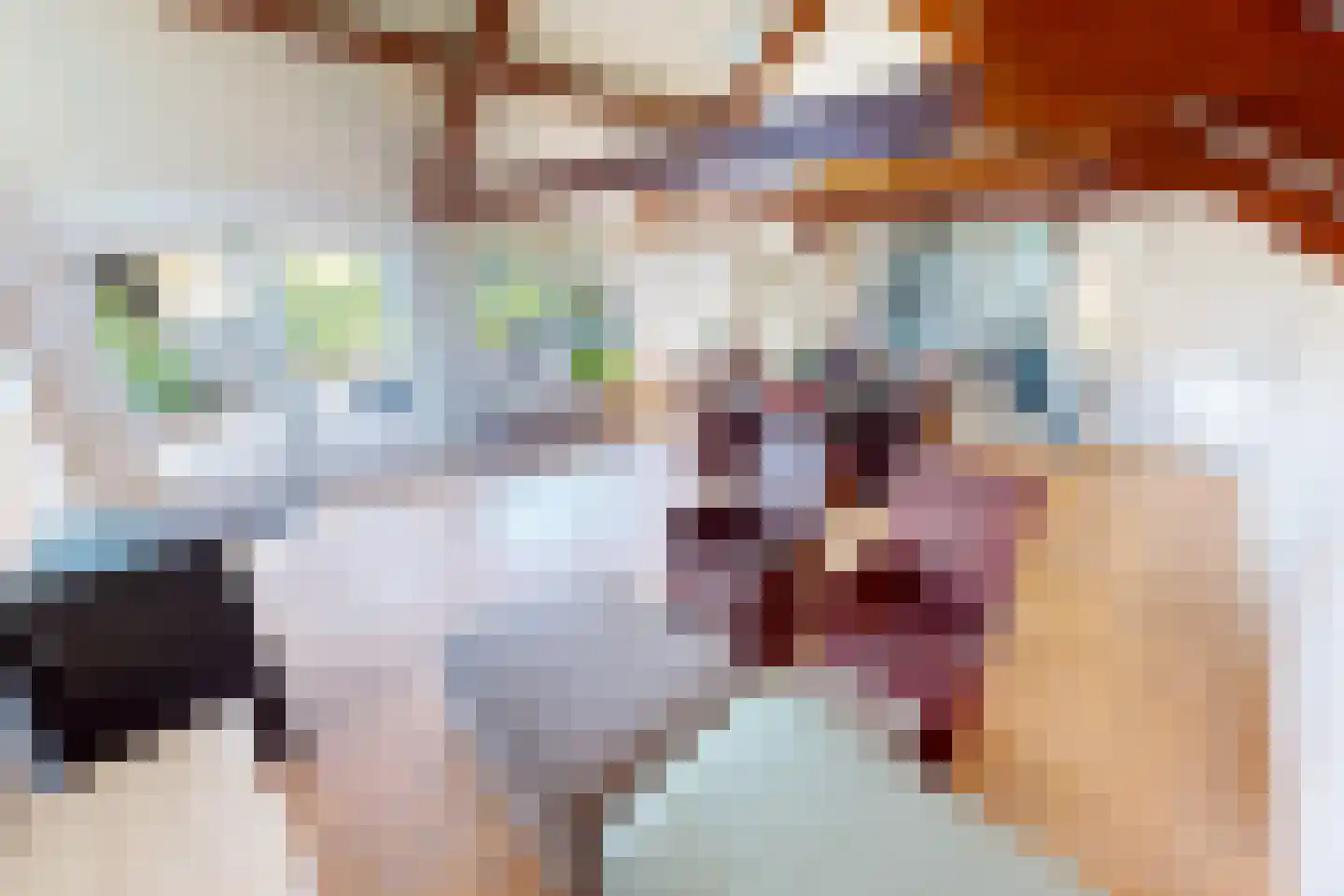 Middenweg 14 Andijk thumbnail 41