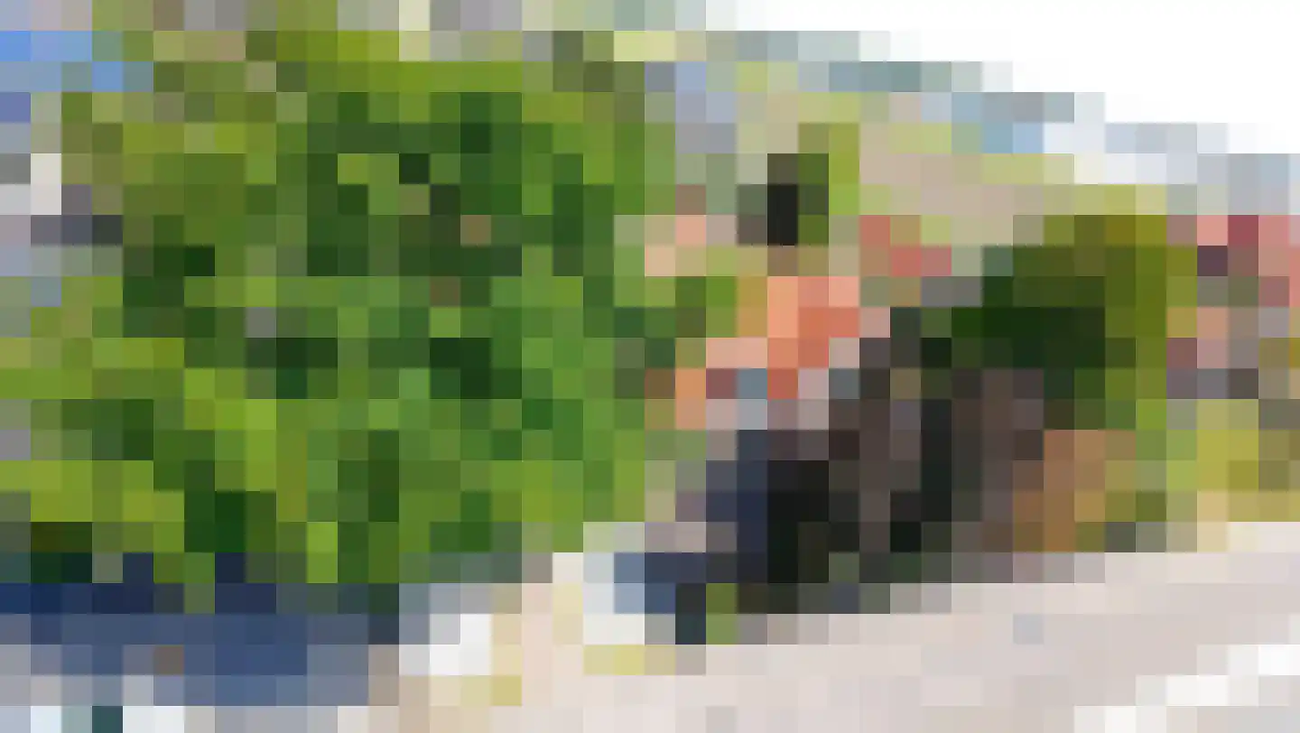 Middenweg 14 Andijk thumbnail 5