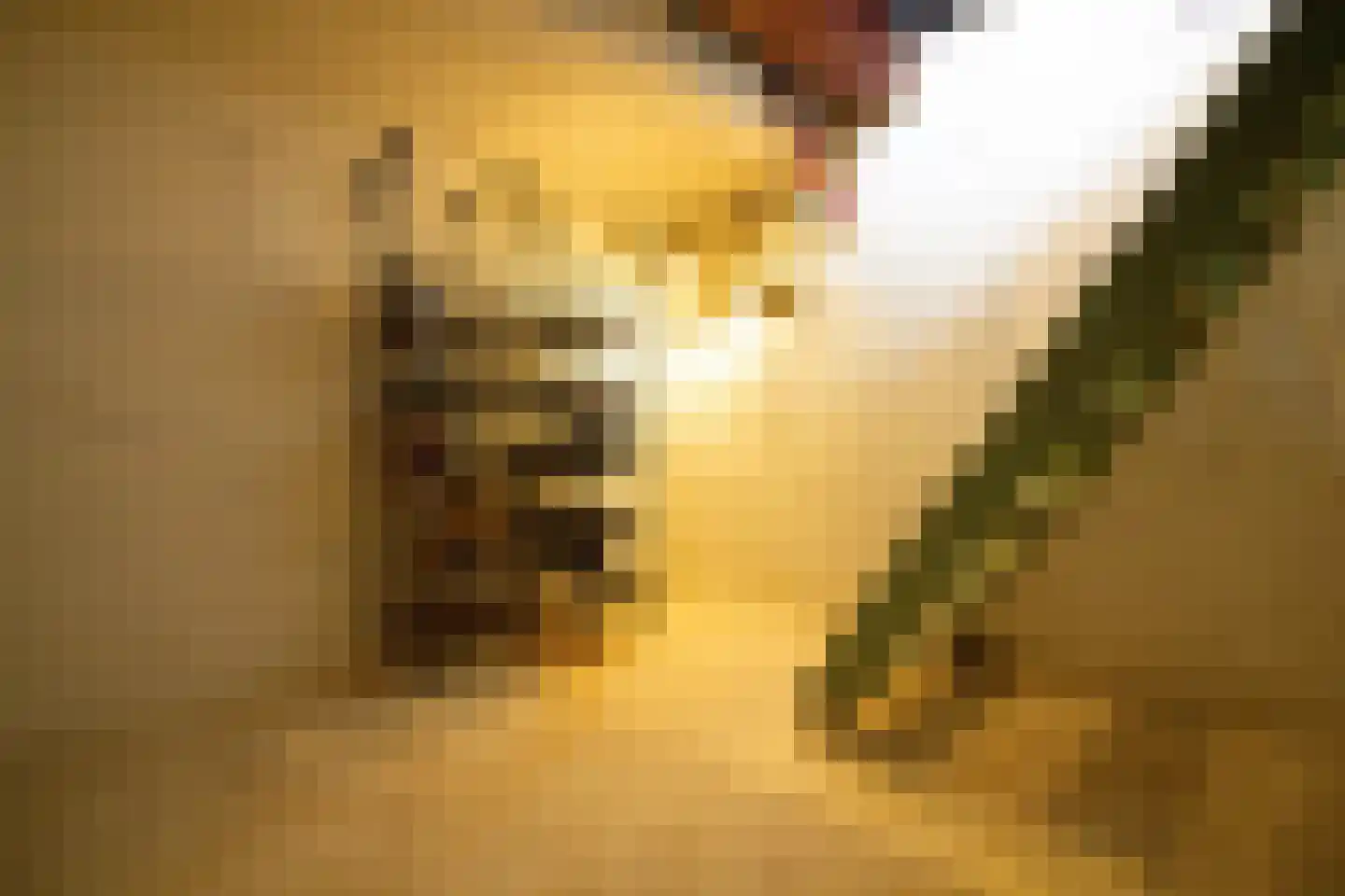 Middenweg 14 Andijk thumbnail 50