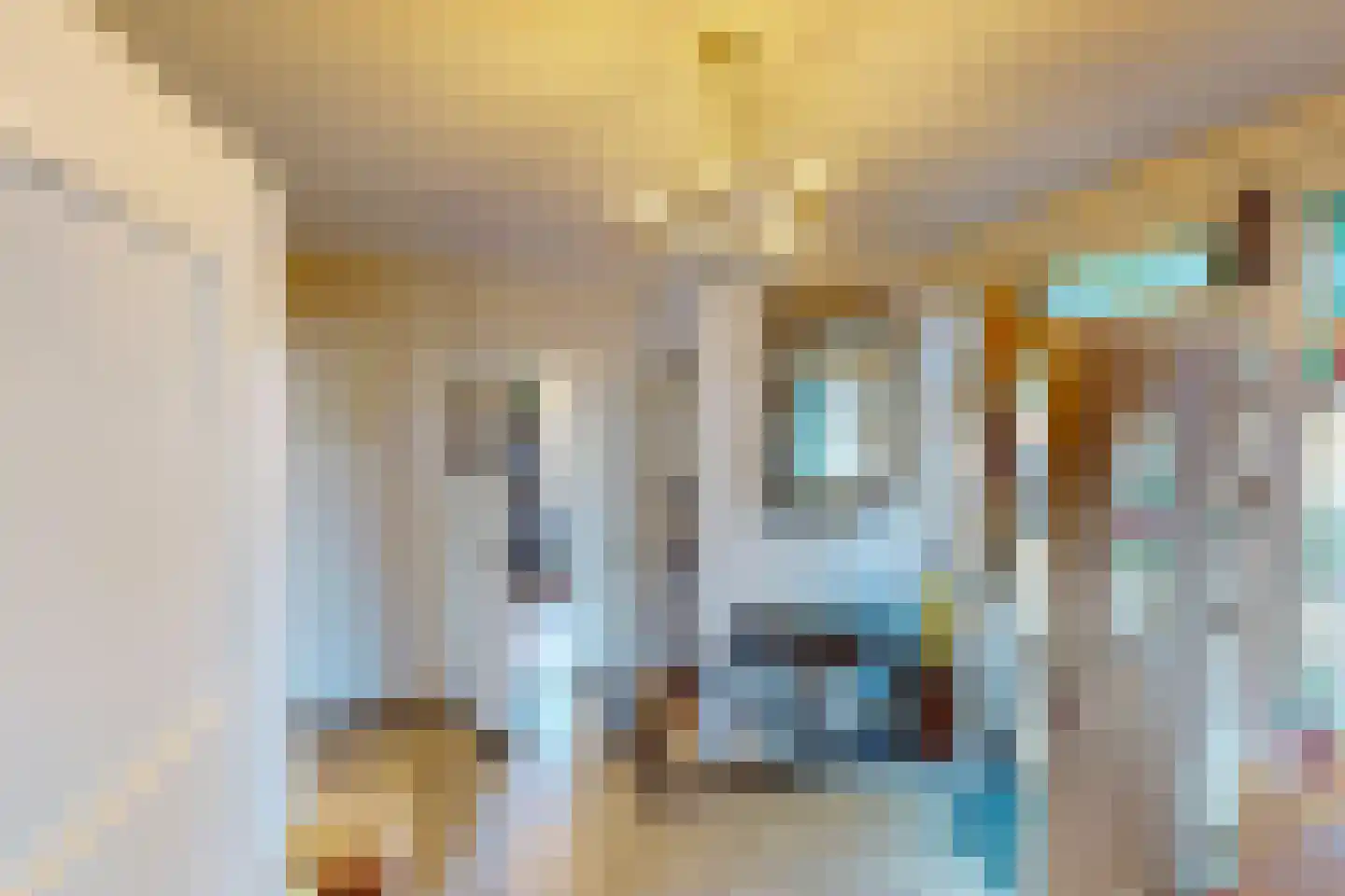 Middenweg 14 Andijk thumbnail 51