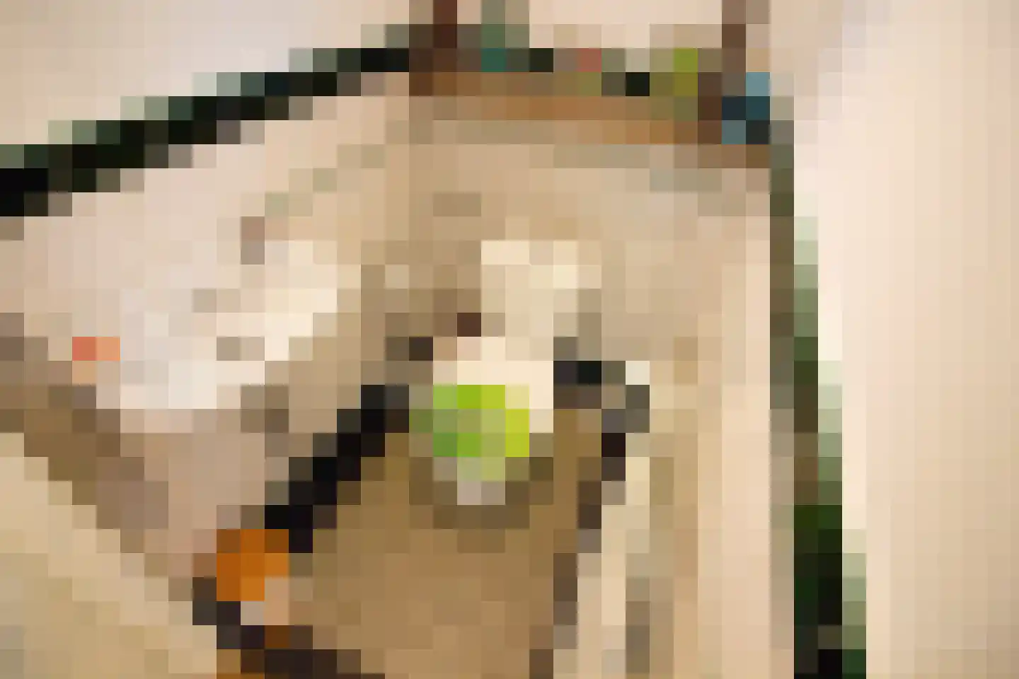 Middenweg 14 Andijk thumbnail 52