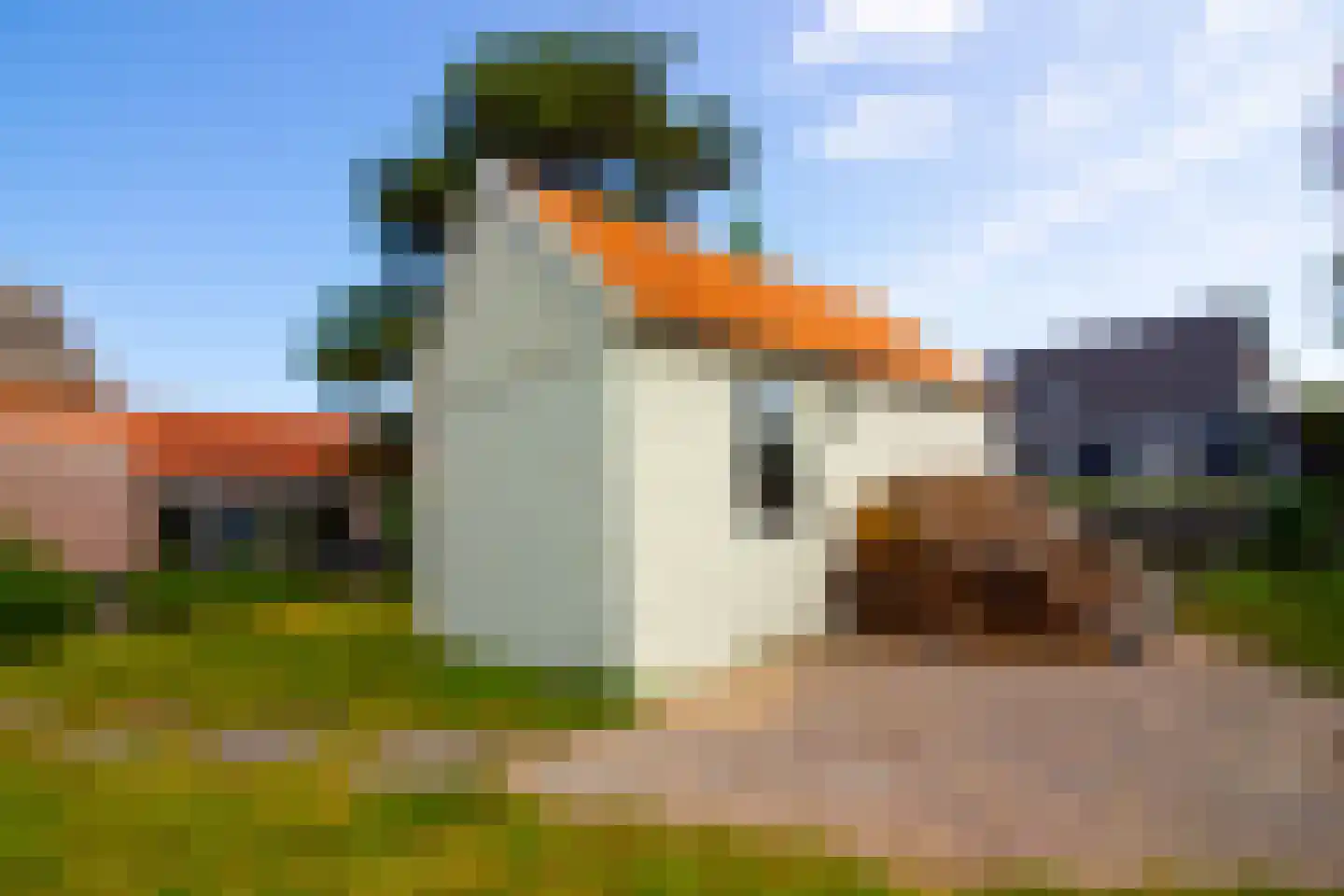 Middenweg 14 Andijk thumbnail 82