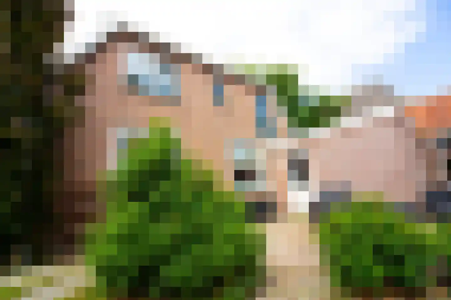 Middenweg 14 Andijk thumbnail 86