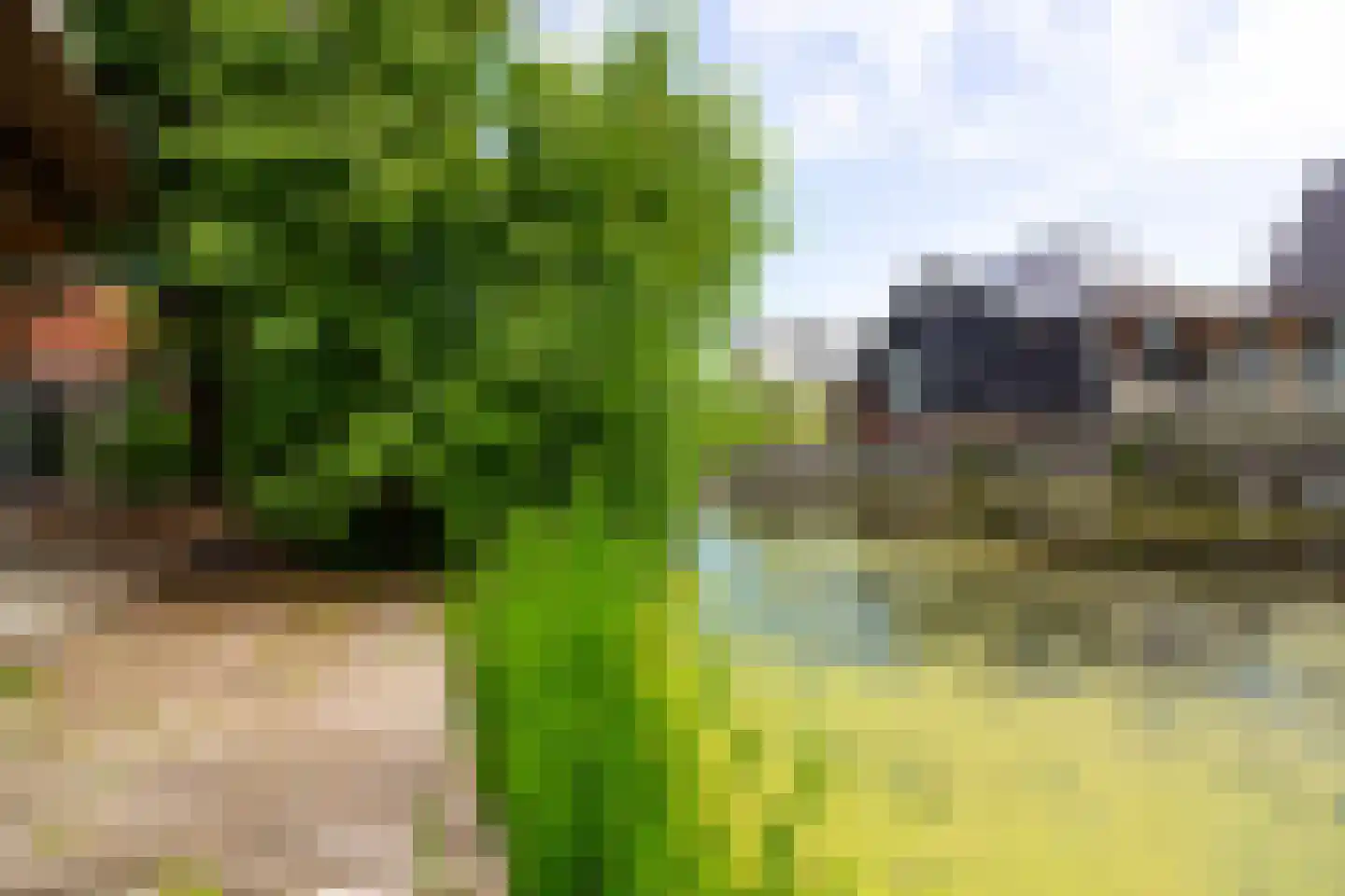 Middenweg 14 Andijk thumbnail 93