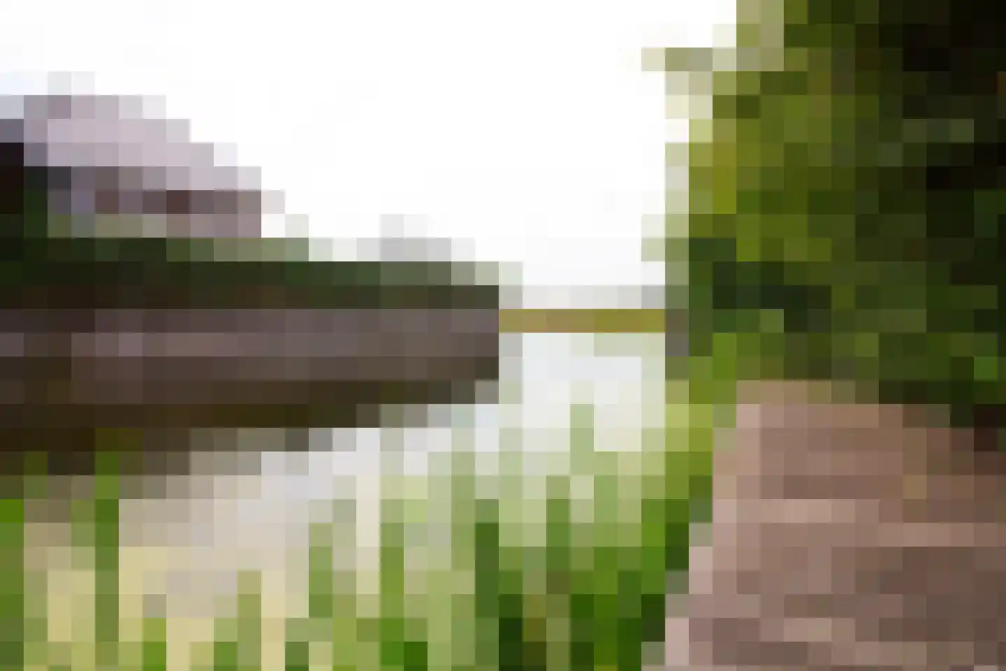 Middenweg 14 Andijk thumbnail 94