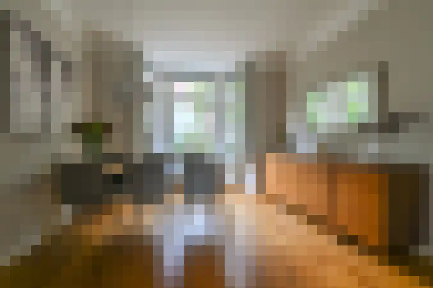 Middenweg 14 Haarlem thumbnail 12