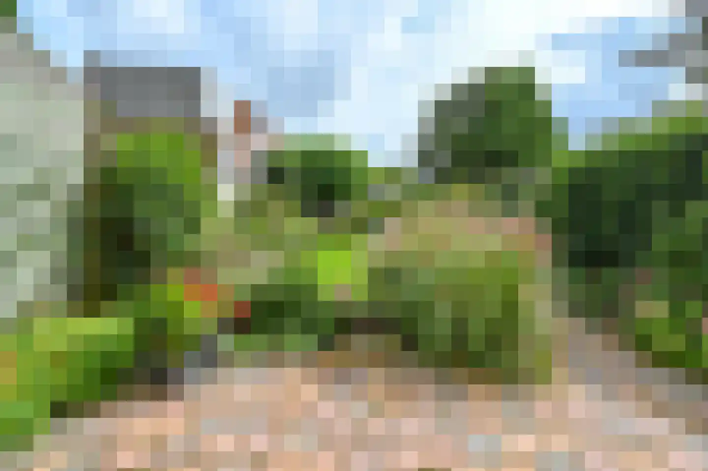 Middenweg 14 Haarlem thumbnail 22
