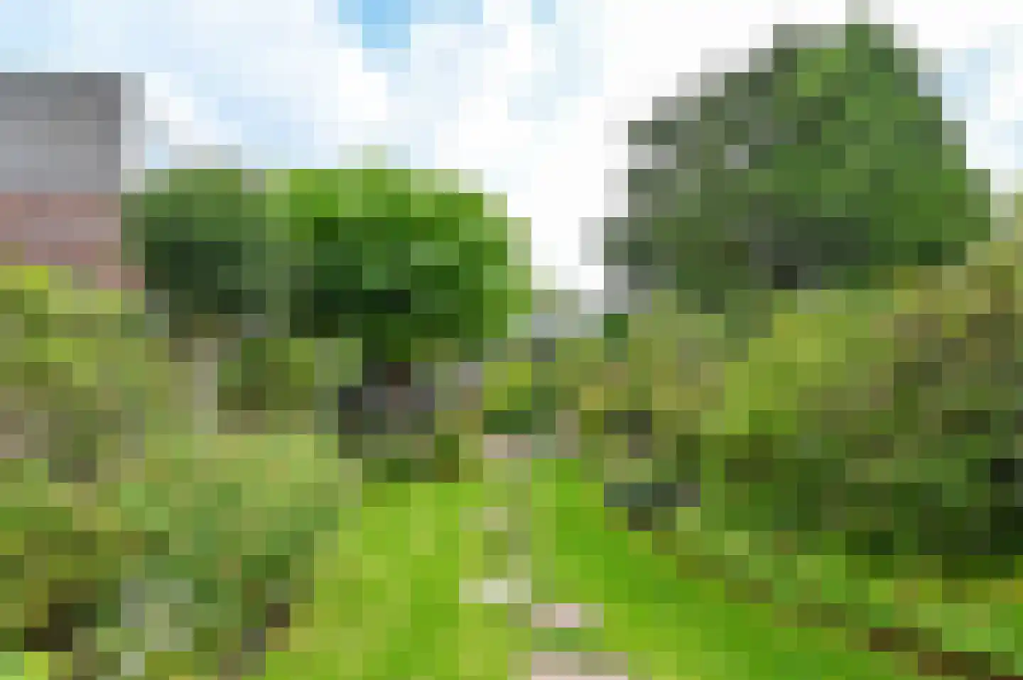 Middenweg 14 Haarlem thumbnail 23