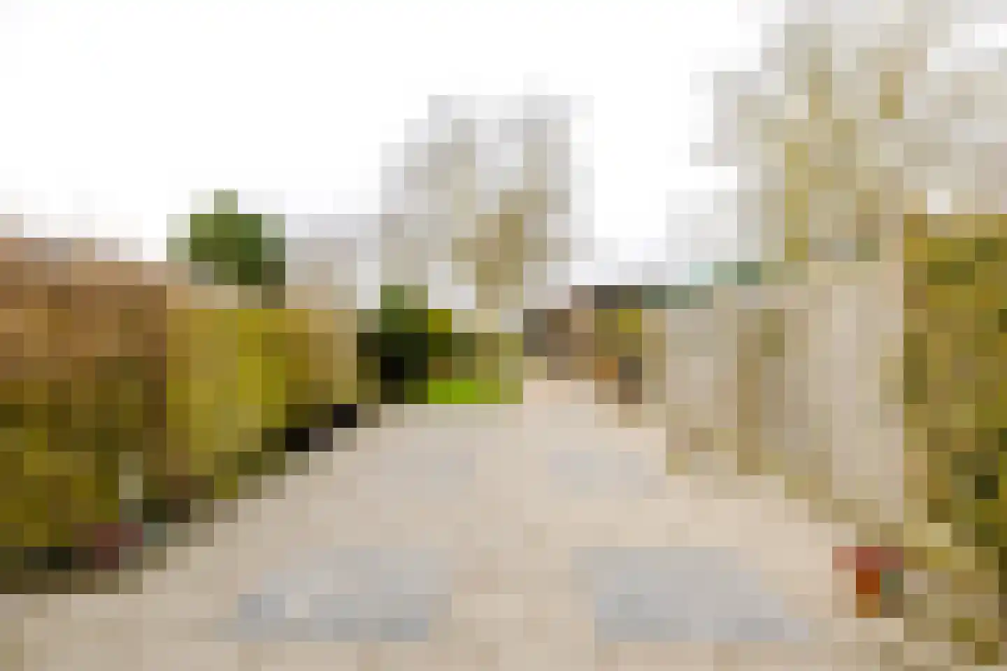 Middenweg 14 Noordbeemster thumbnail 26