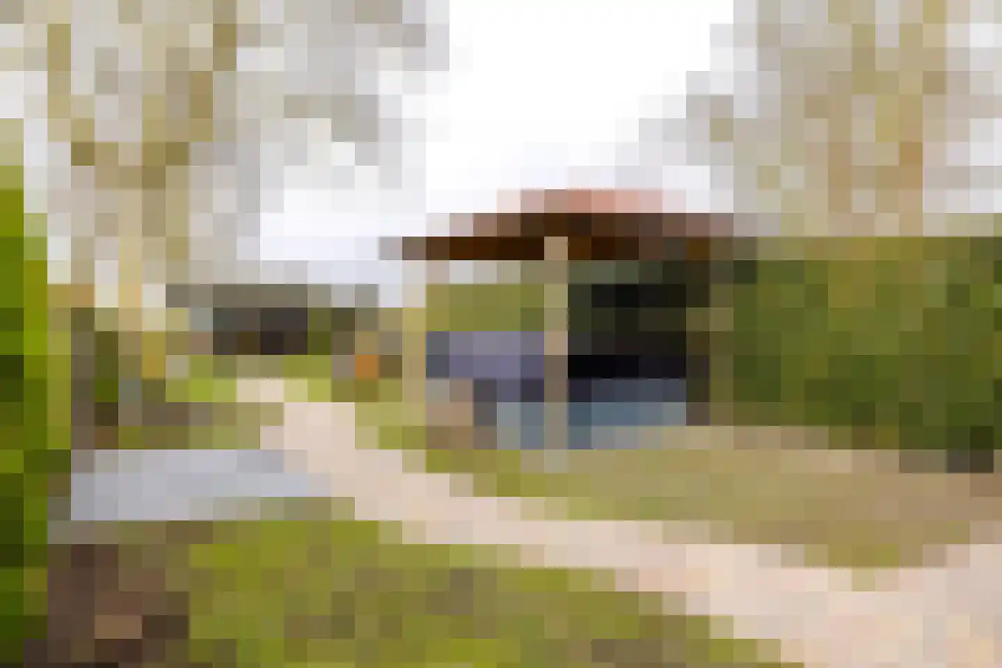 Middenweg 14 Noordbeemster thumbnail 27