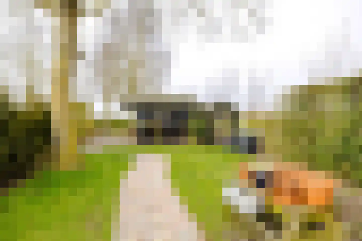 Middenweg 14 Noordbeemster thumbnail 28