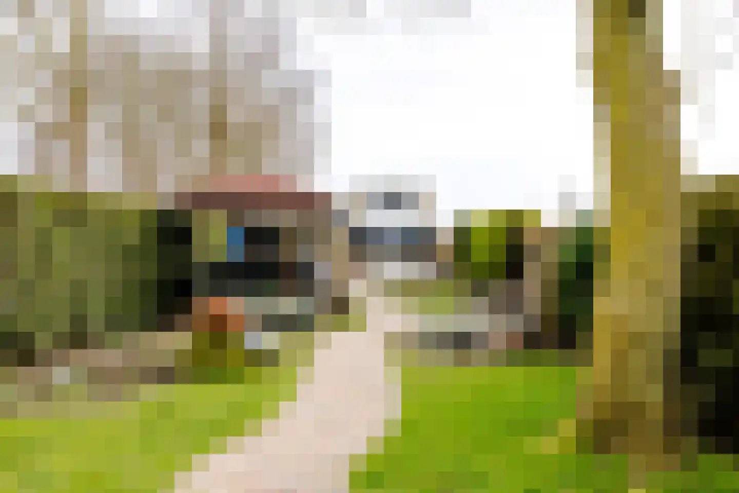 Middenweg 14 Noordbeemster thumbnail 29