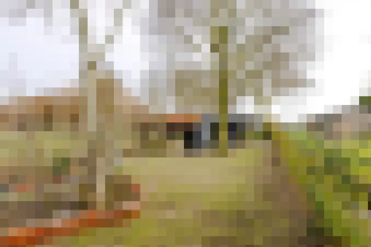 Middenweg 14 Noordbeemster thumbnail 31