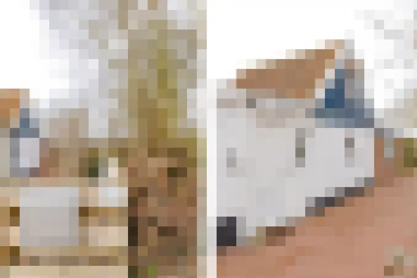 Middenweg 14 Noordbeemster thumbnail 6