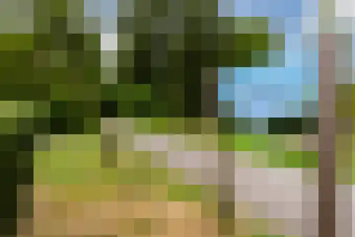 Middenweg 143 2 Amsterdam thumbnail 17