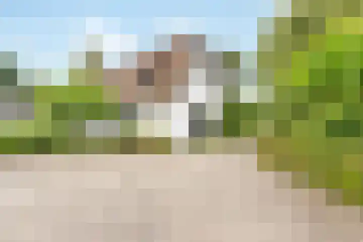 Middenweg 147 Nederhorst den Berg thumbnail 4
