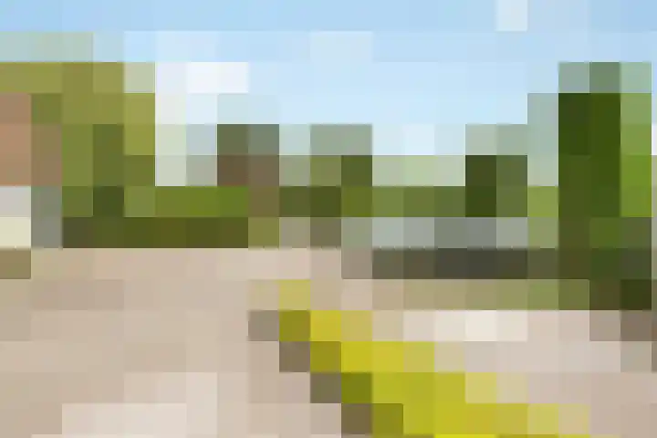 Middenweg 147 Nederhorst den Berg thumbnail 5