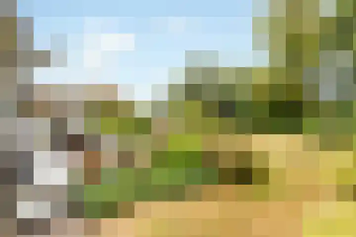Middenweg 147 Nederhorst den Berg thumbnail 53