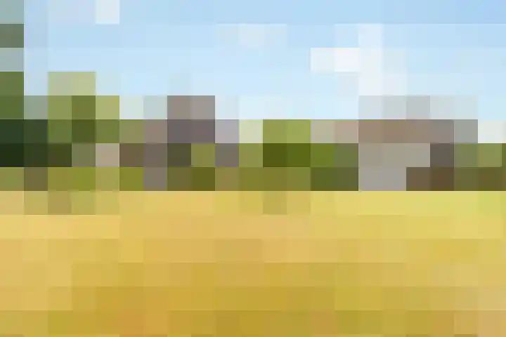 Middenweg 147 Nederhorst den Berg thumbnail 54