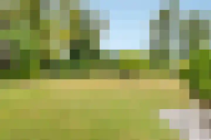 Middenweg 147 Nederhorst den Berg thumbnail 55