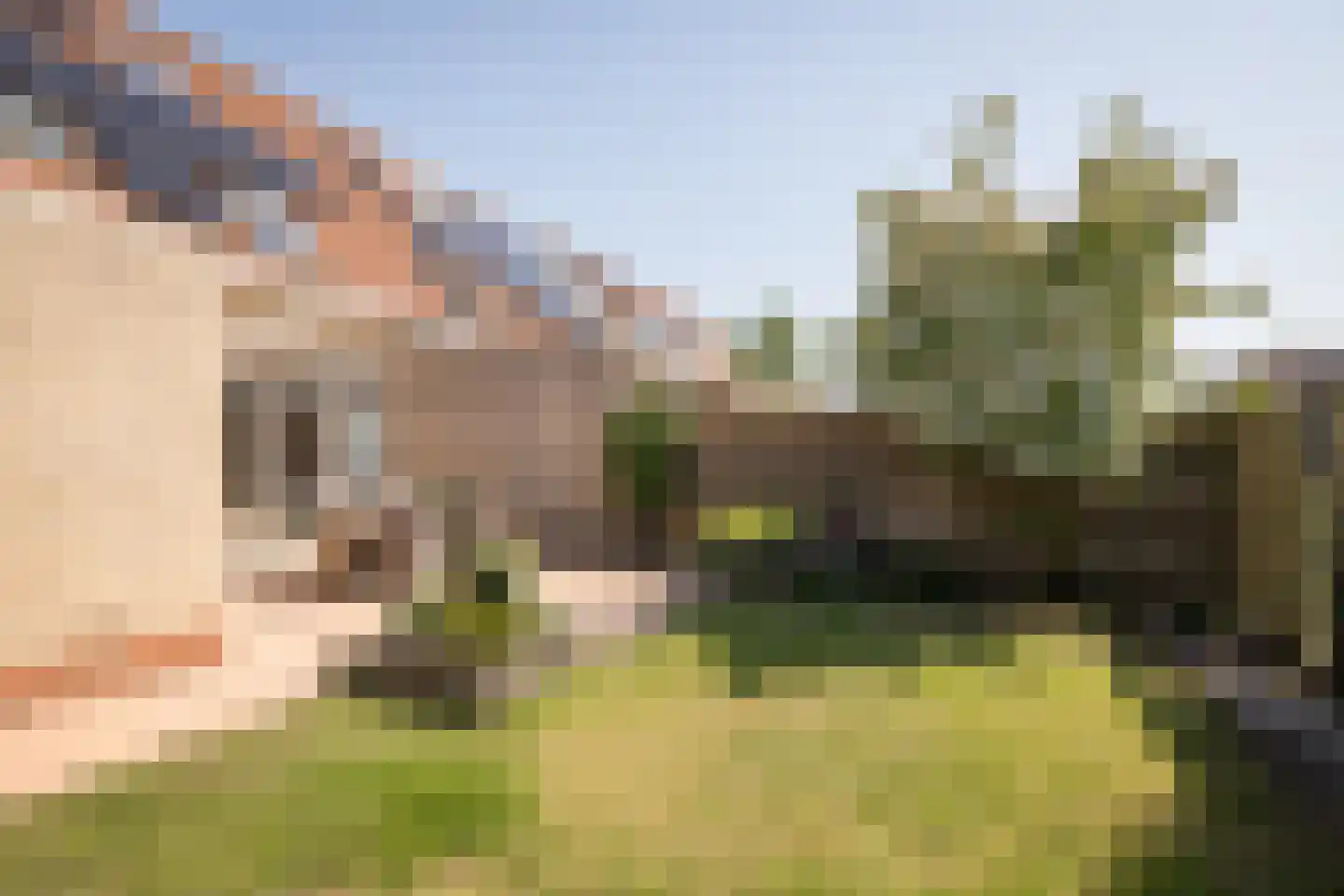 Middenweg 15 Bovenkarspel thumbnail 33