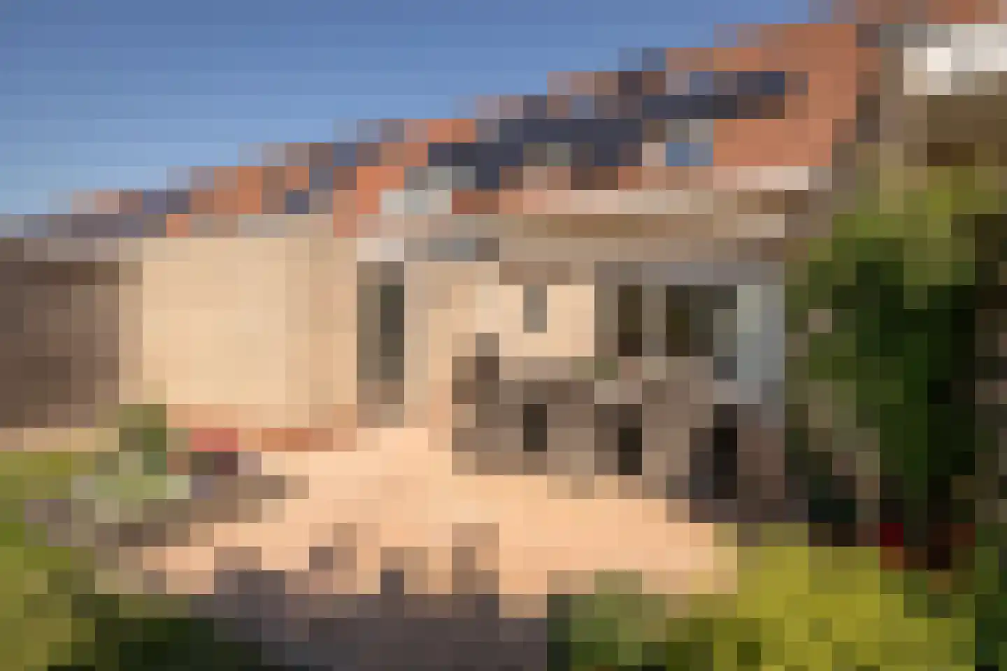 Middenweg 15 Bovenkarspel thumbnail 35