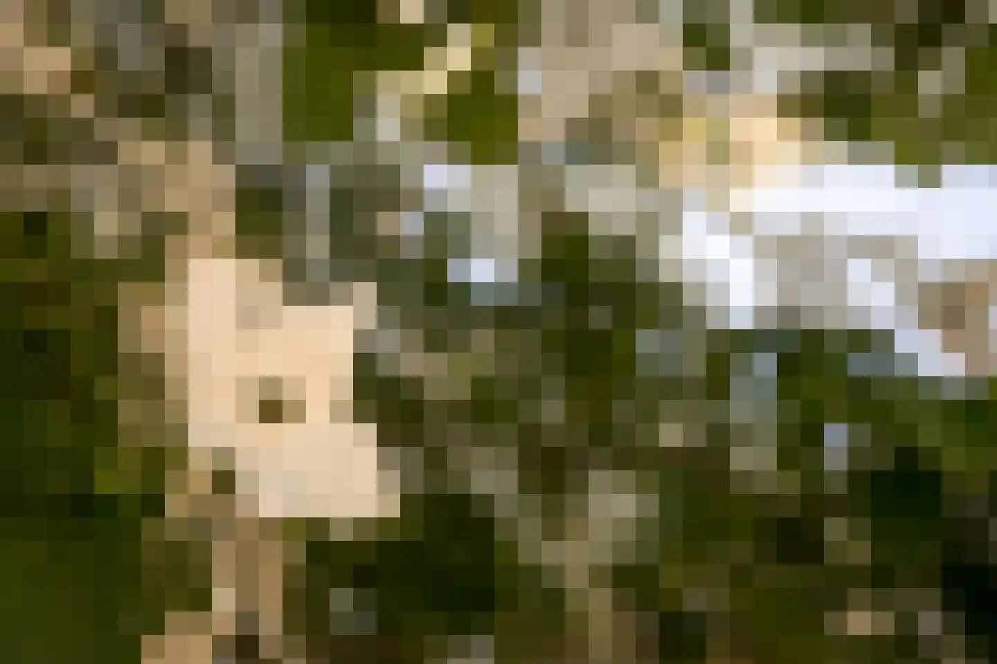 Middenweg 15 Bovenkarspel thumbnail 36