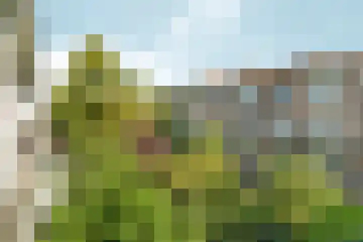 Middenweg 153 2 Amsterdam thumbnail 21