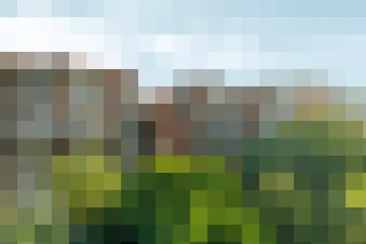 Middenweg 153 2 Amsterdam thumbnail 23