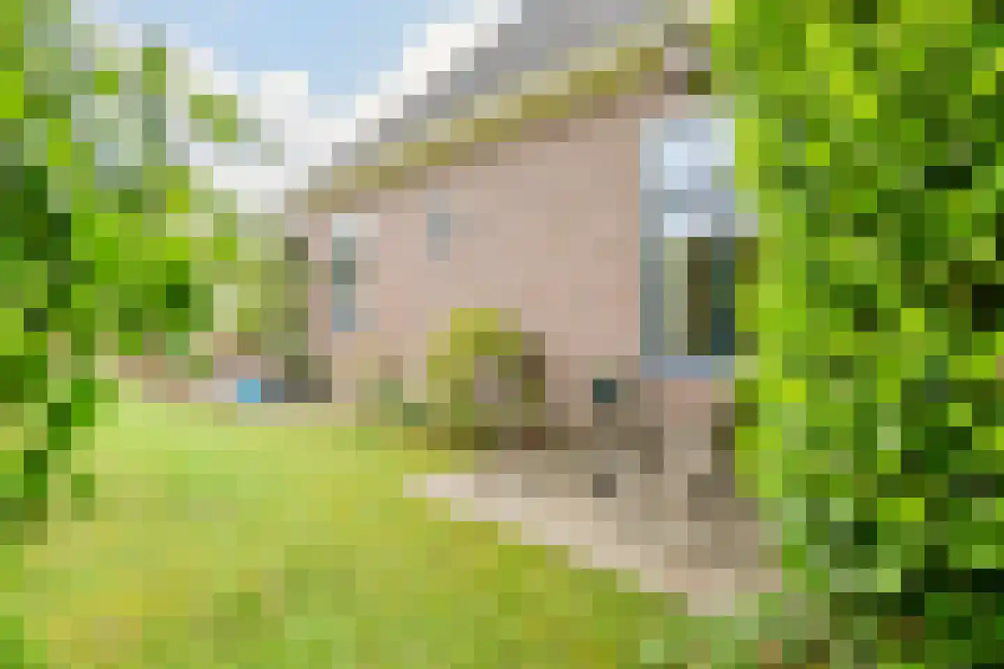 Middenweg 155 Heerhugowaard thumbnail 59