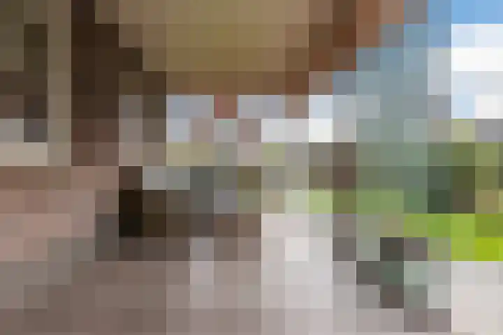 Middenweg 16 Heerhugowaard thumbnail 49