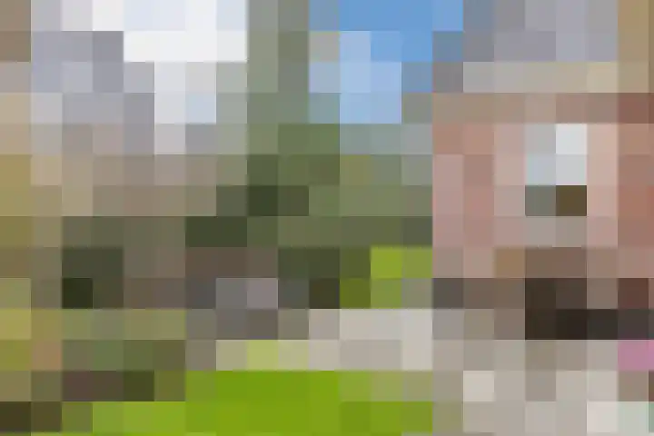 Middenweg 16 Heerhugowaard thumbnail 56