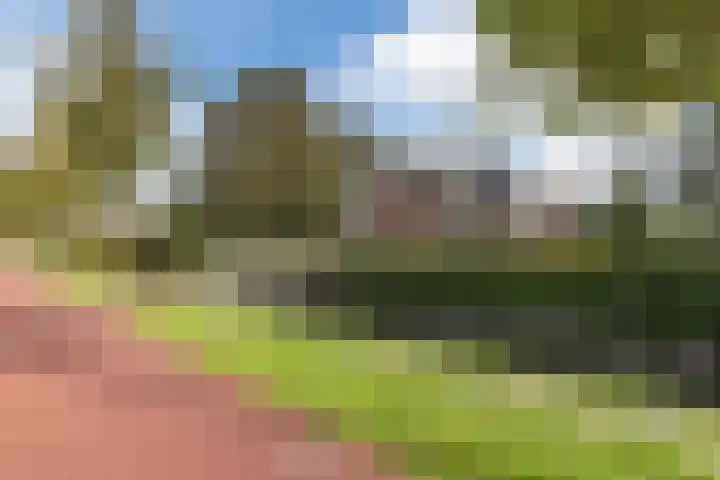Middenweg 16 Heerhugowaard thumbnail 72