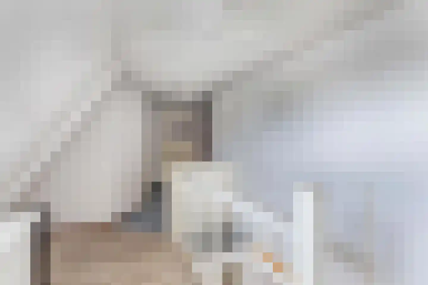 Middenweg 17 Huizen thumbnail 30