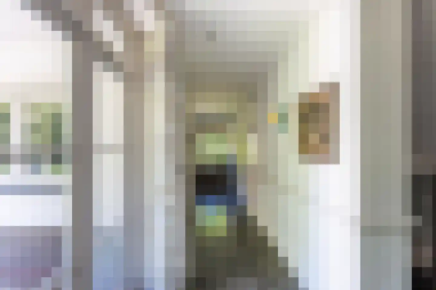 Middenweg 18 Epse thumbnail 22