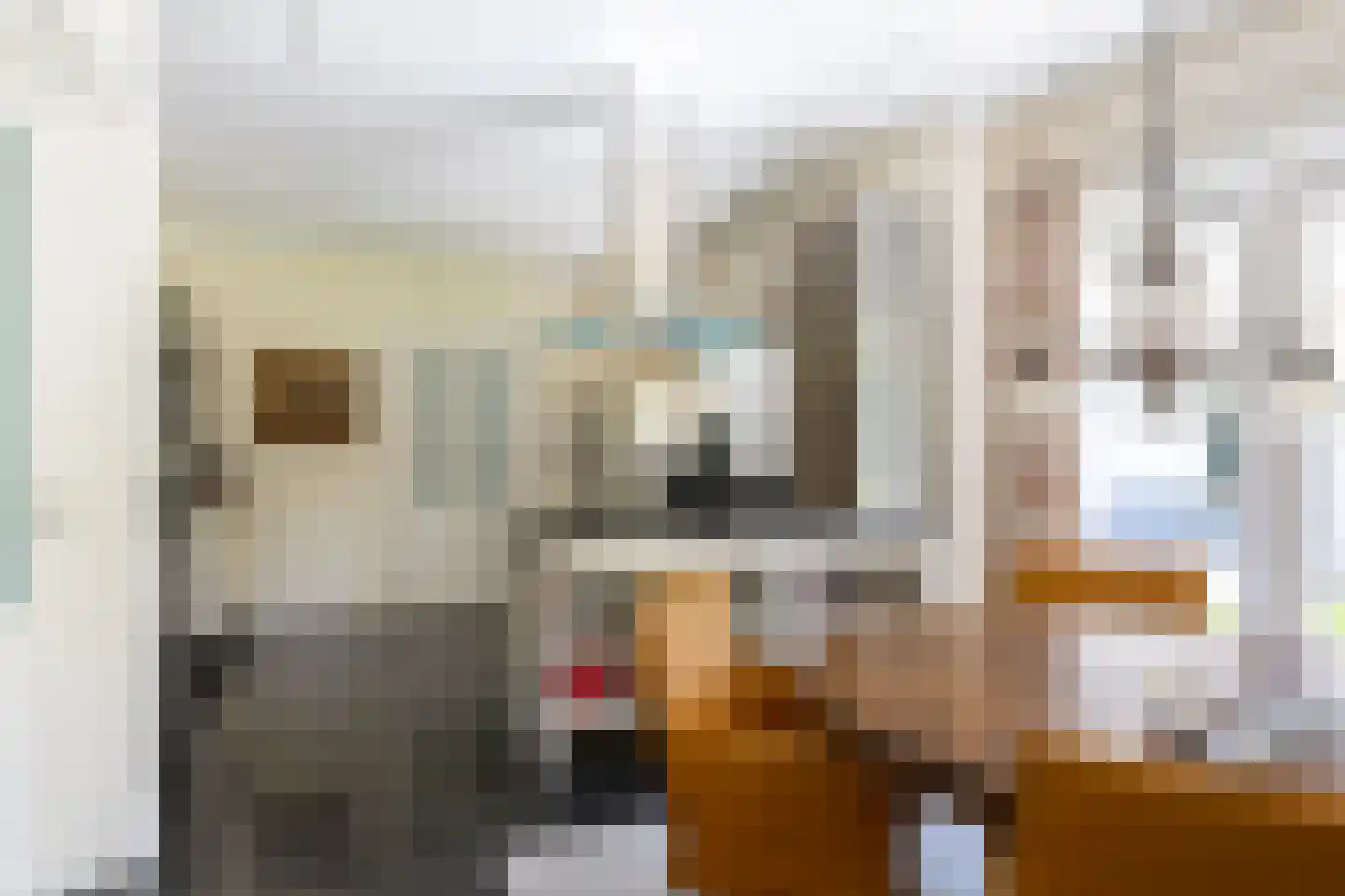 Middenweg 18 Epse thumbnail 27
