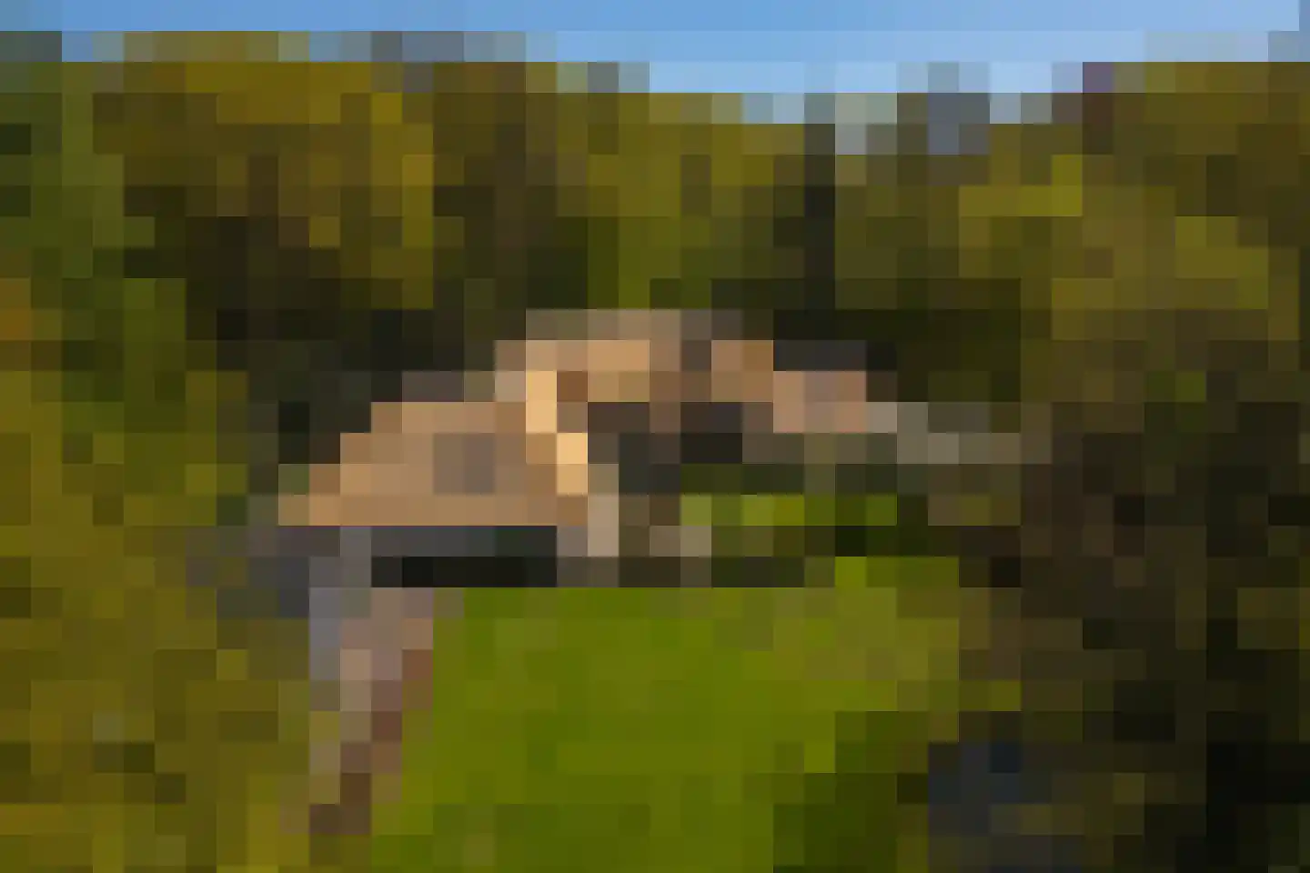 Middenweg 18 Epse thumbnail 4