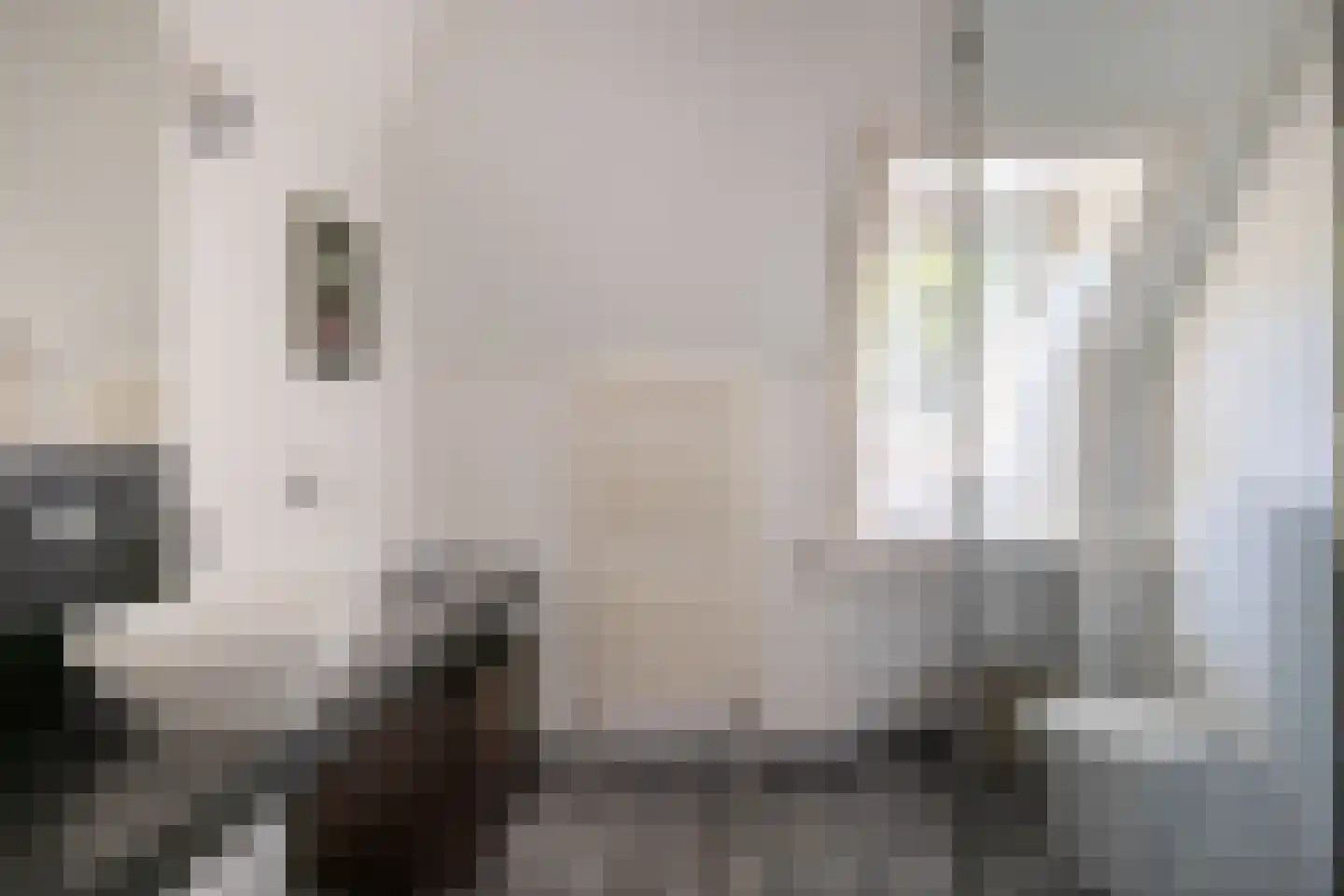 Middenweg 18 Epse thumbnail 46