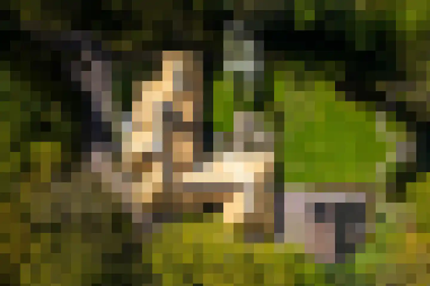 Middenweg 18 Epse thumbnail 59