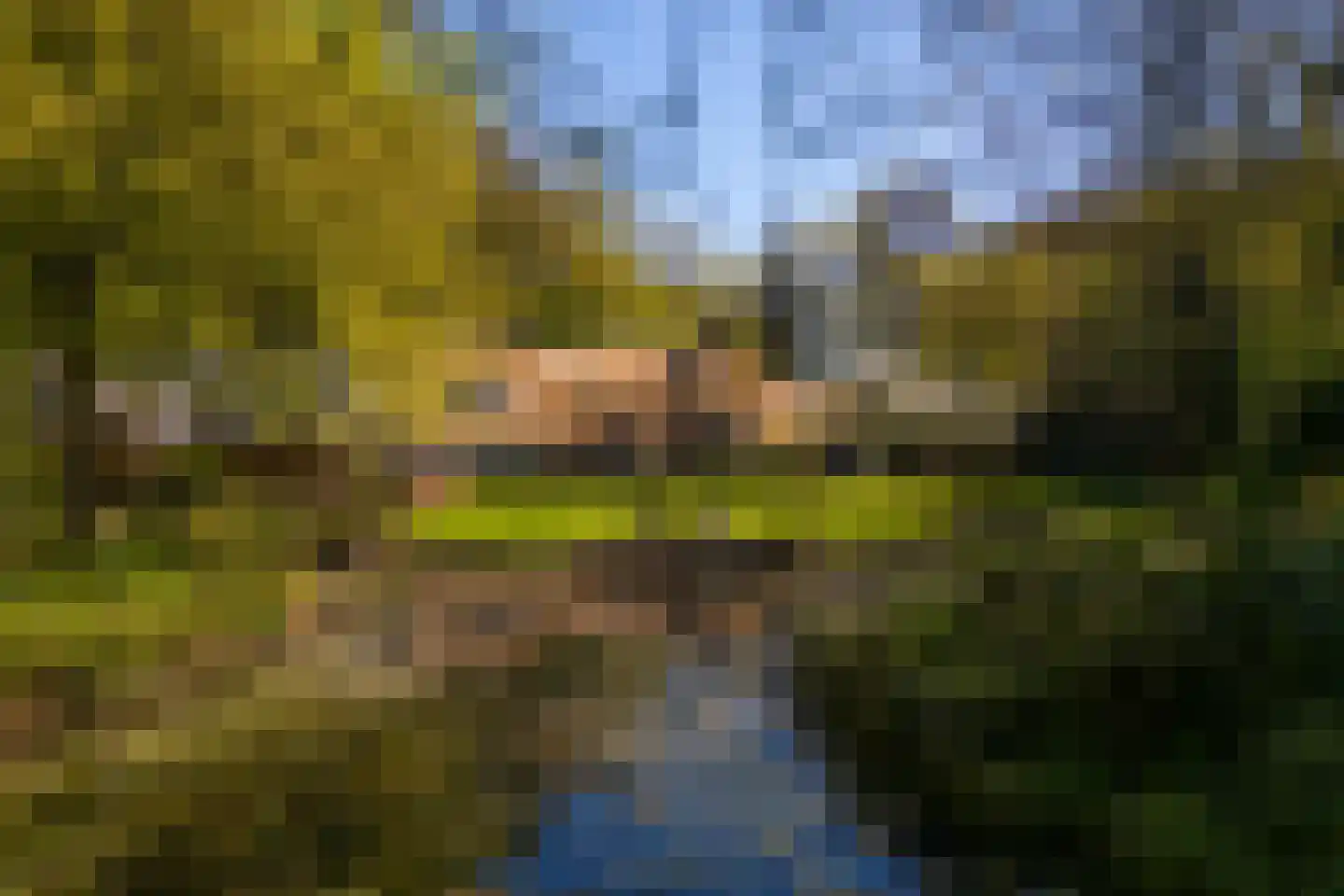 Middenweg 18 Epse thumbnail 60