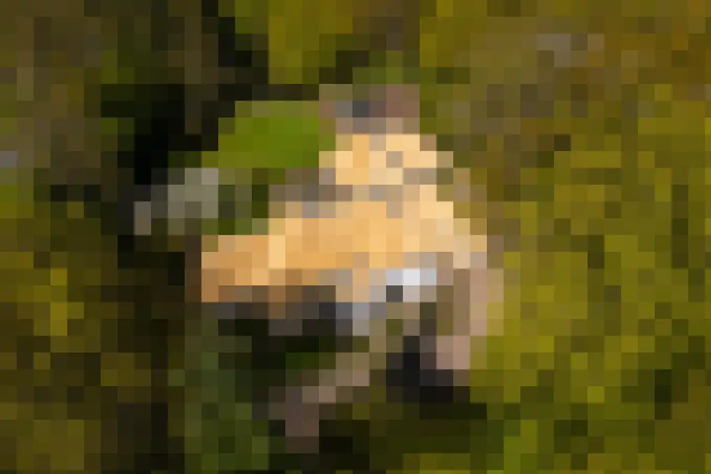 Middenweg 18 Epse thumbnail 63