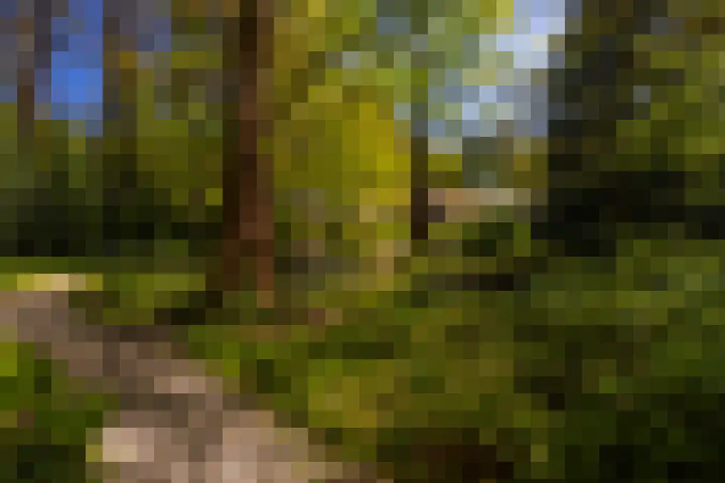 Middenweg 18 Epse thumbnail 64