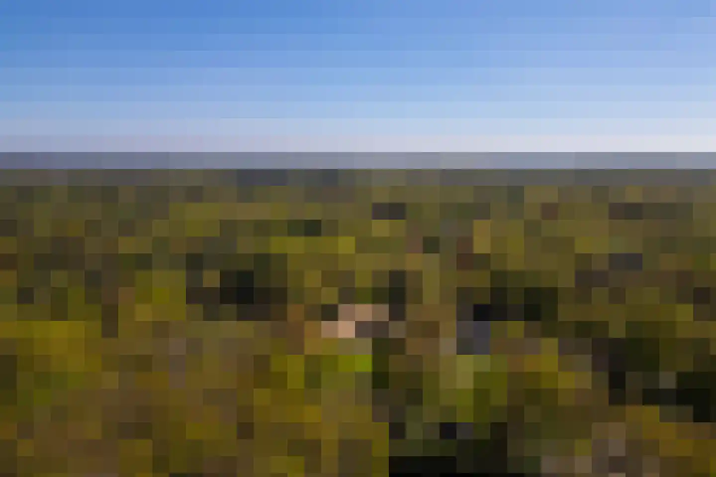 Middenweg 18 Epse thumbnail 65