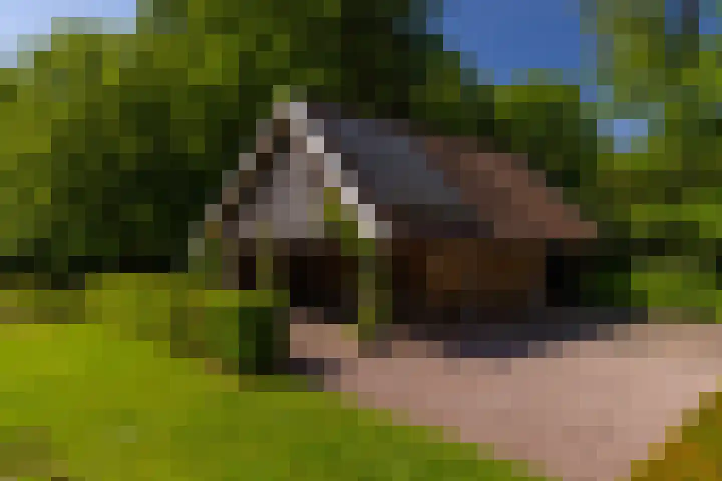 Middenweg 18 Epse thumbnail 77