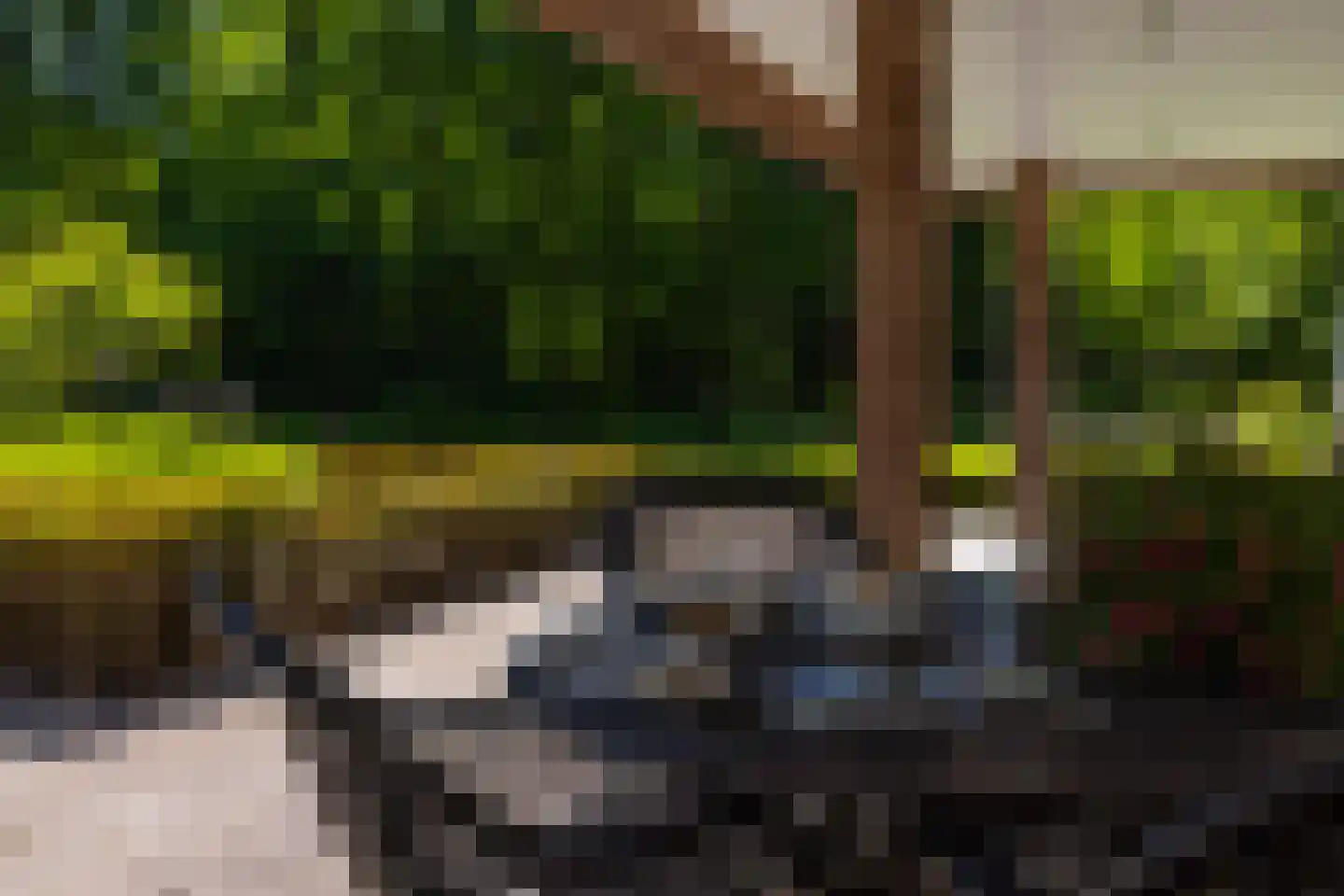 Middenweg 18 Epse thumbnail 78