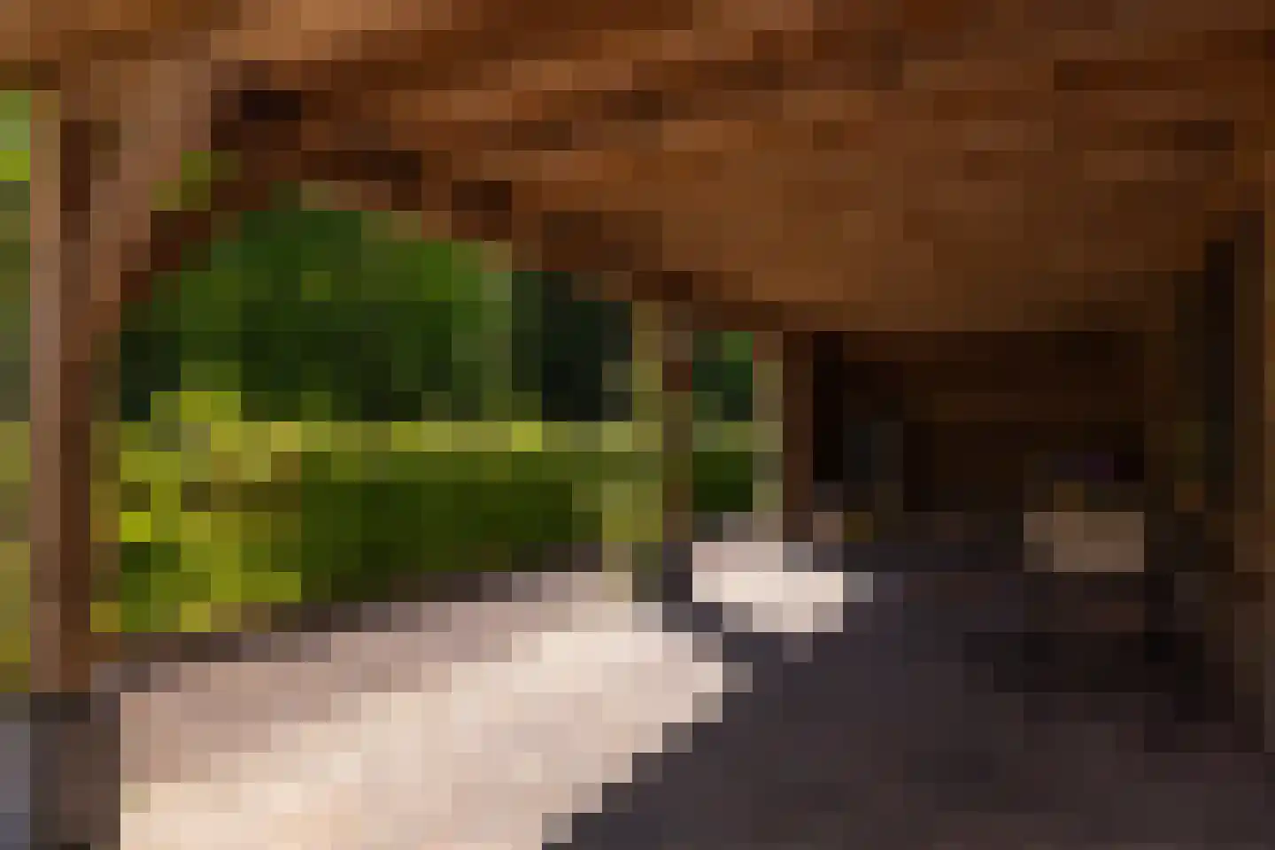 Middenweg 18 Epse thumbnail 78