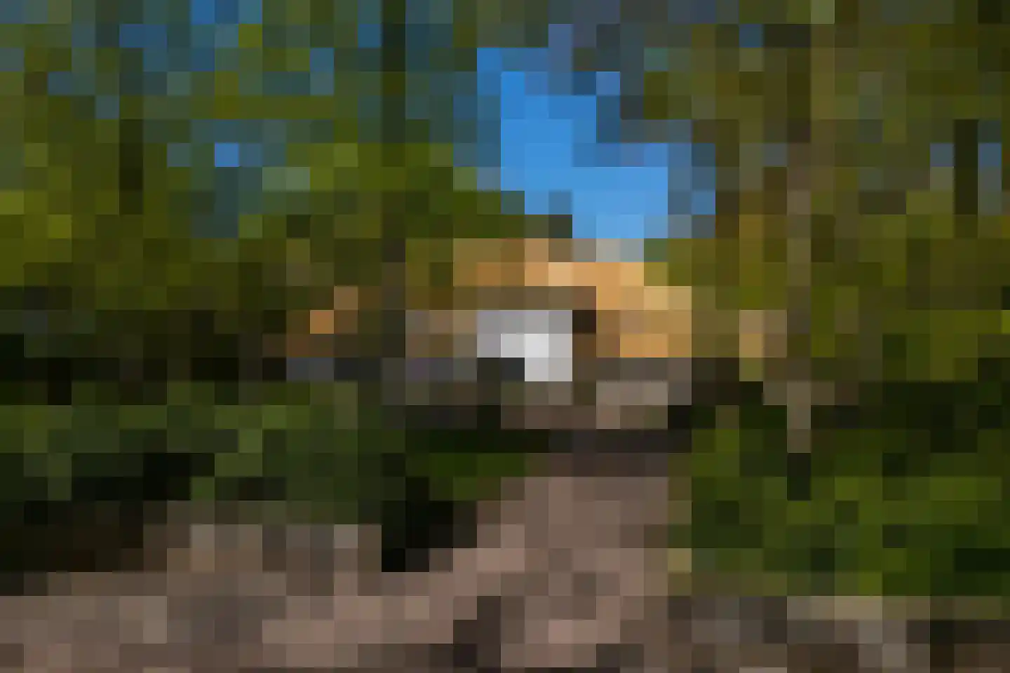 Middenweg 18 Epse thumbnail 79